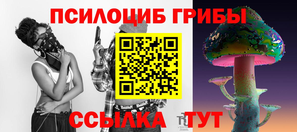 Псилоцибиновые грибы Psilocybine cubensis Орск