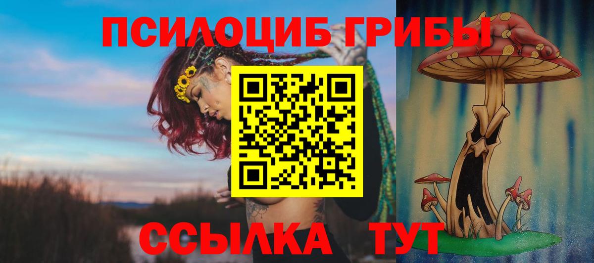 Орск  купить наркотики сайты  Вход с VPN  Псилоцибиновые грибы прущие грибы 